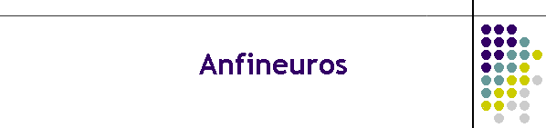Anfineuros