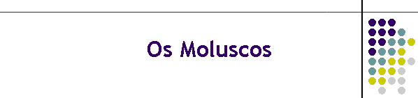Os Moluscos