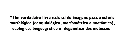 Caixa de texto:  Um verdadeiro livro natural de imagens para o estudo morfolgico (conquiolgico, morfomtrico e anatmico), ecolgico, biogeogrfico e filogentico dos moluscos
